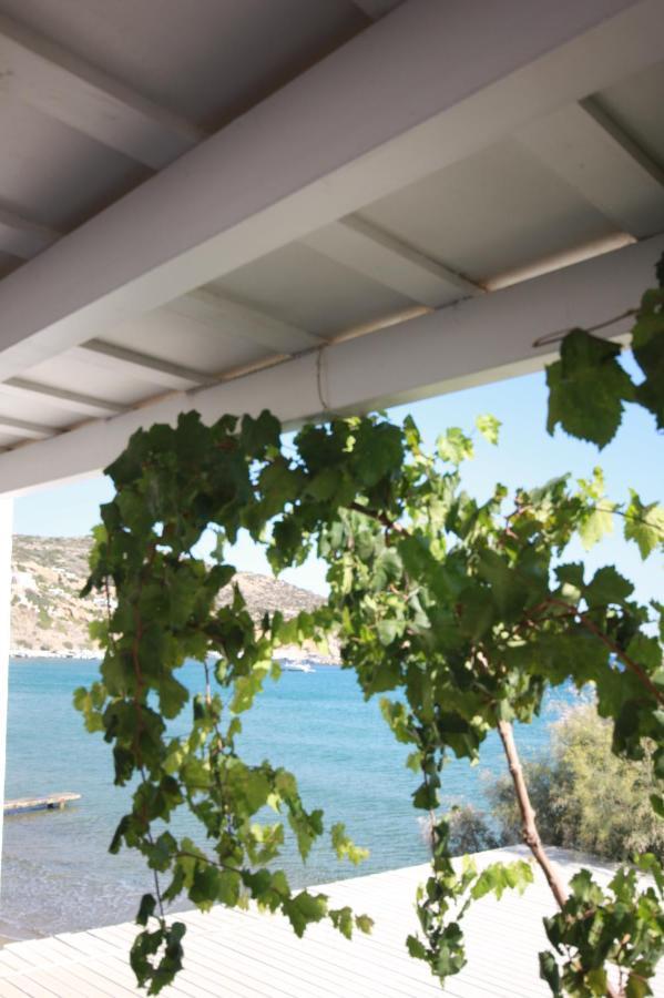Cyclades Beach Apartments Chrisopigi  エクステリア 写真